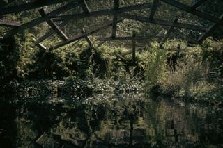 View to a pond with a luxurious flora all around and a weirdly built but somehow sturdy wooden framework above