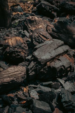 A pile of burned wood