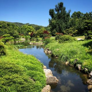 An asian inspired garden