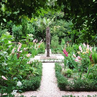 A very flowery garden with a palm tree in the middle