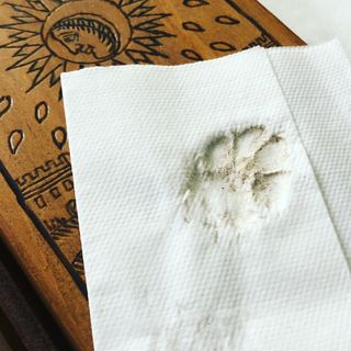 Trace of paw on a napkin