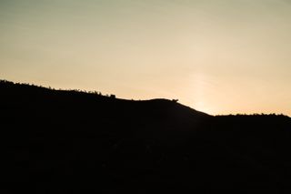 A sheep on top of a hill on sunset