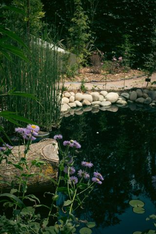 A cropped view on a zen garden with a pond, water plants, a walkway
