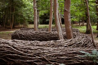 Snake-like sculpture made of wood sticks meandering between trees