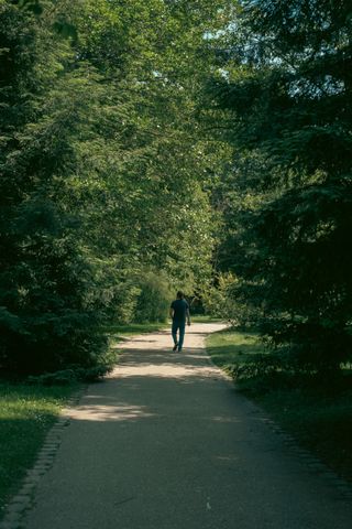 A man waliking on a footpath between trees