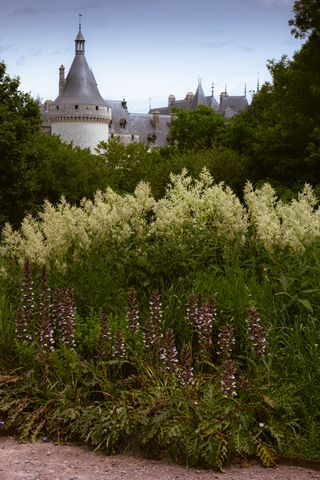 A castle far away in the background and plants and flowers in the foreground