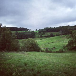 View of green fields