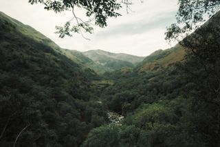 View on a very green valley with a water stream at the bottom and naturally framed with branches of trees